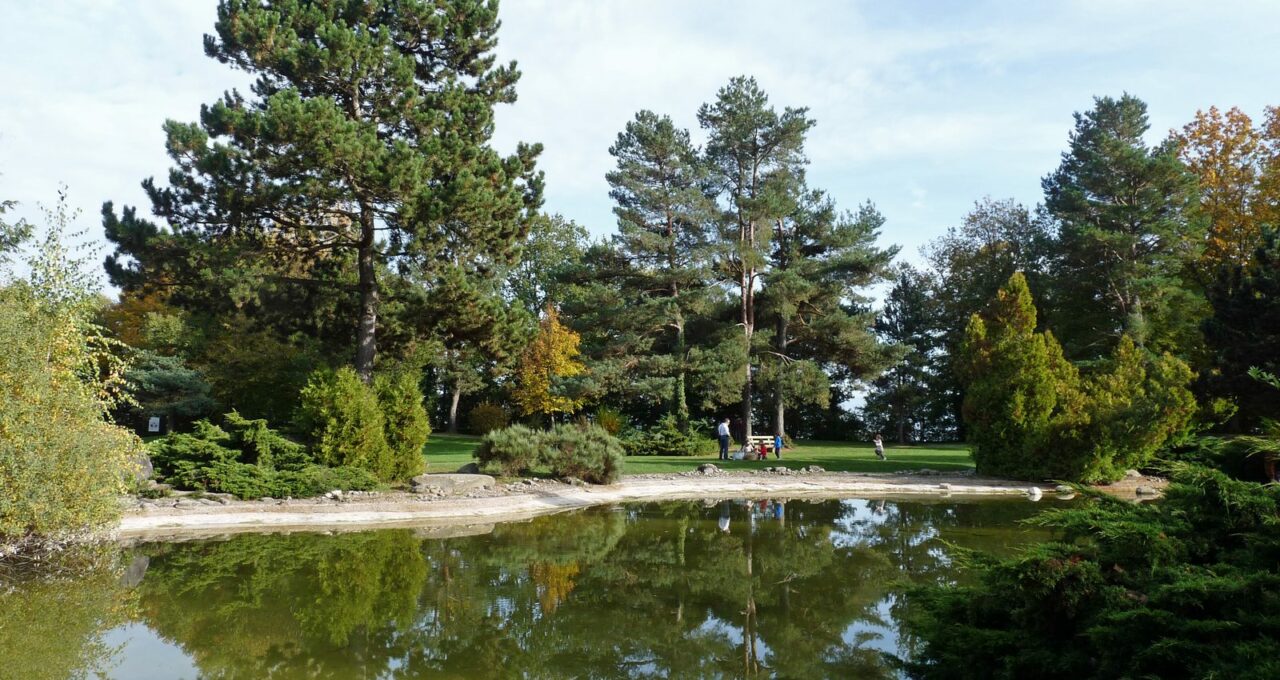 Étang bordé de pins sur le domaine de Signal de Bougy, au-dessus du Léman.