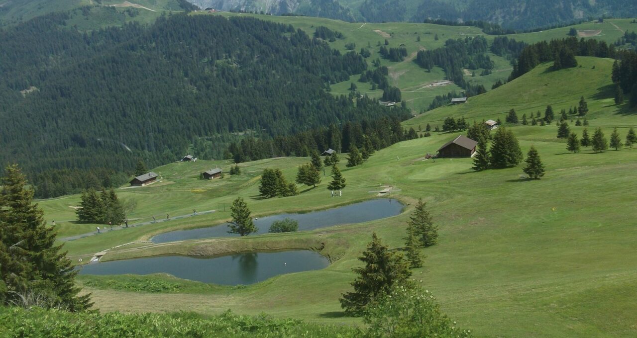 Alpiner Golfplatz mit Weiher, umgeben von Weiden und Wald.