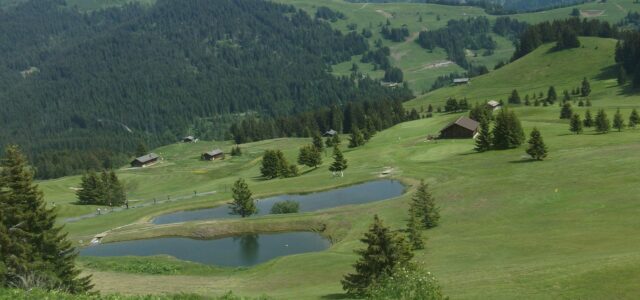 Alpiner Golfplatz mit Weiher, umgeben von Weiden und Wald.