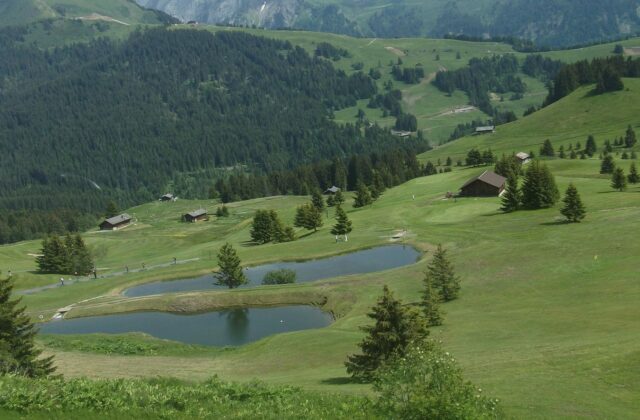 Alpiner Golfplatz mit Weiher, umgeben von Weiden und Wald.