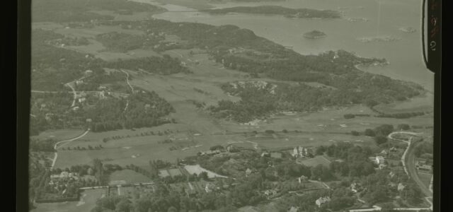 Golfbana med öppna spelfält och skog i bakgrunden.
