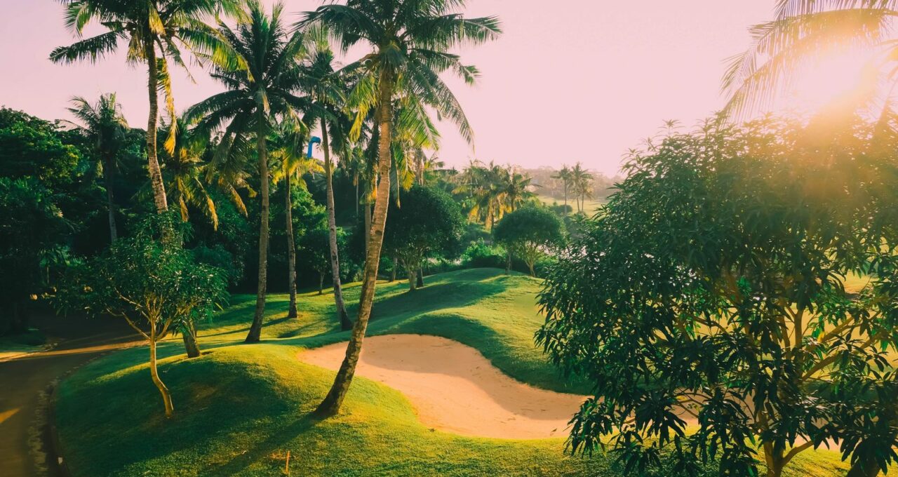 Golf course with palm trees and sand bunkers in warm light.