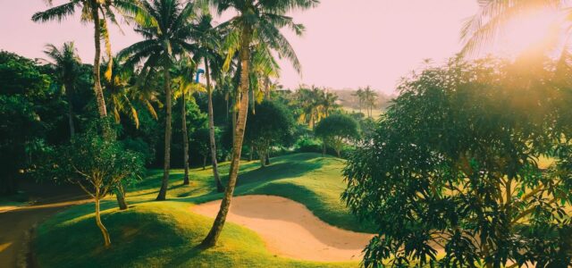 Golf course with palm trees and sand bunkers in warm light.