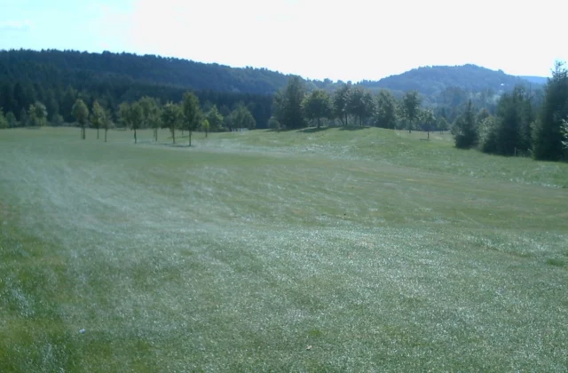 Bad Driburger Golfclub