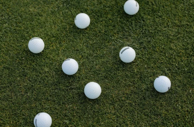 Golf balls scattered in the grass