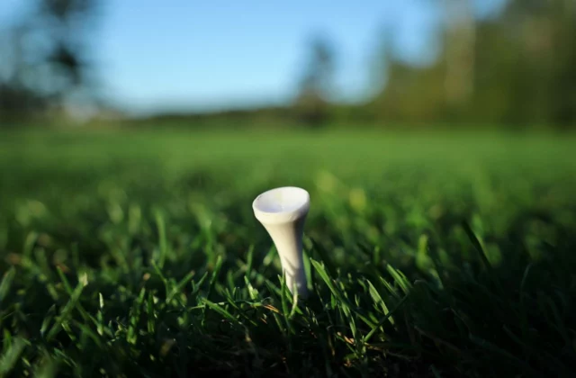 Tee planté dans l'herbe rase