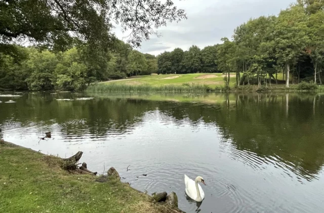 Calcot Park
