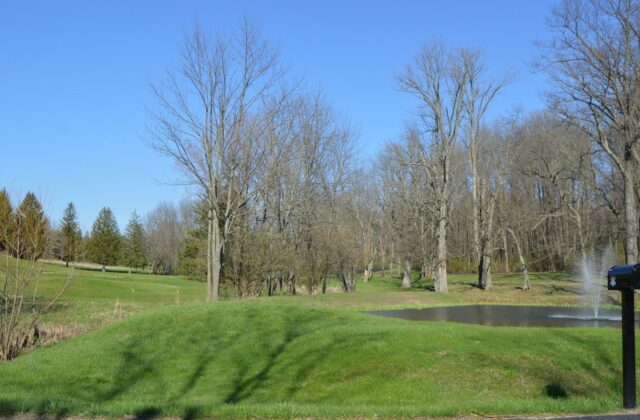 Forest Hills Golf Club
