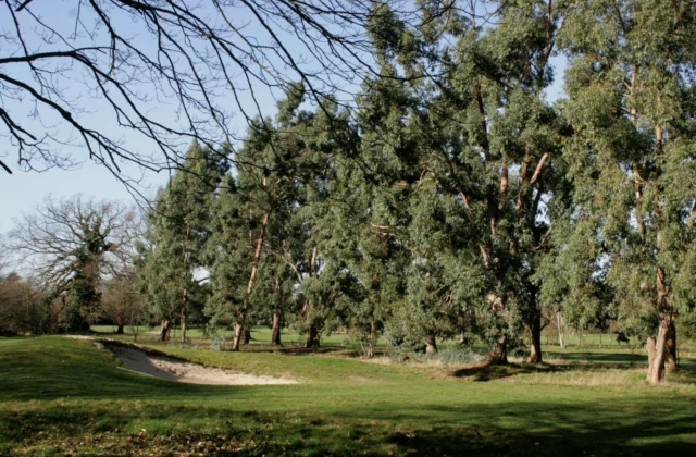 Fulwell Golf Course