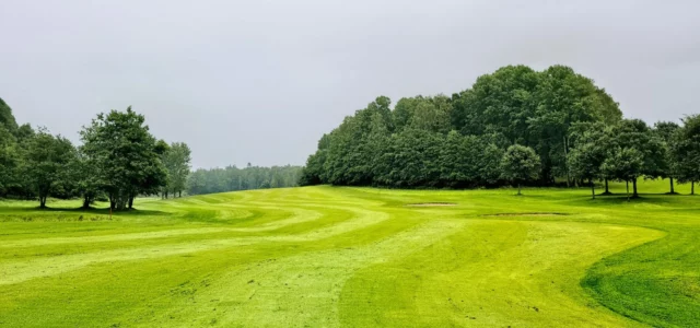 Von Bäumen gesäumtes Fairway auf einem Golfplatz