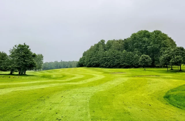 Fairway bordé d'arbres sur un parcours de golf