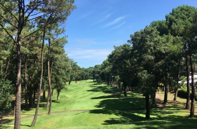 Un trou du golf de Seignosse dans la pinède landaise.
