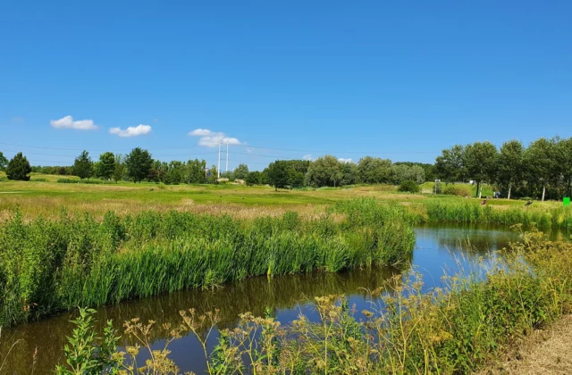 Golfbaan Delfland