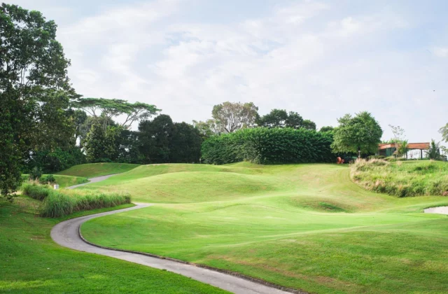 Fairway vallonné et buttes herbeuses sur un parcours de golf