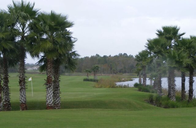 LPGA International