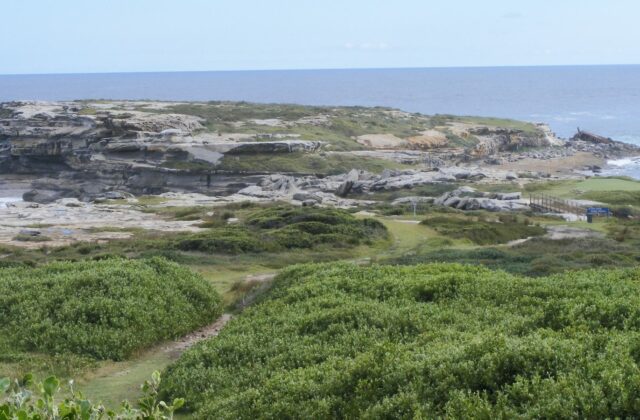 New South Wales Golf Club