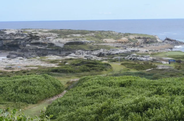 New South Wales Golf Club