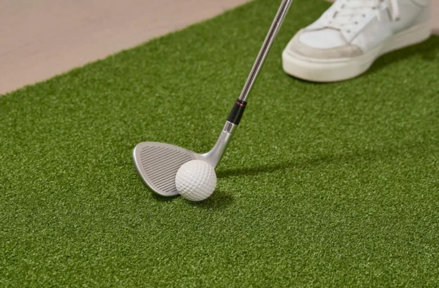 Wedge resting on a mat, ready for a chip