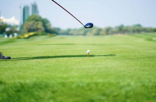 A driver head held above a ball on an orange tee, on a closely mown teeing ground