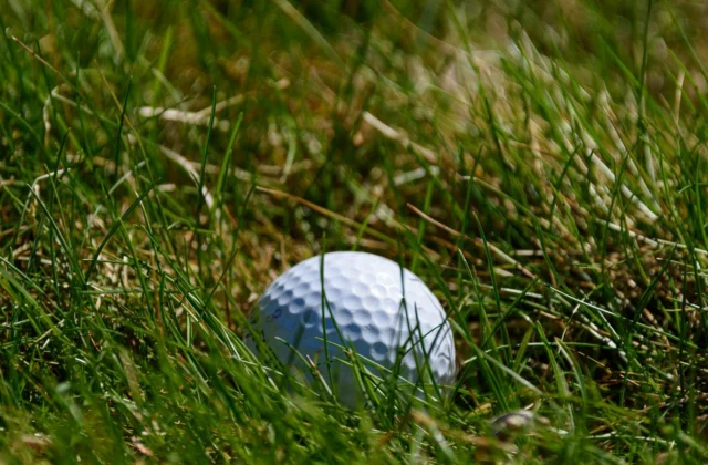 Balle de golf à demi enfoncée dans une herbe haute