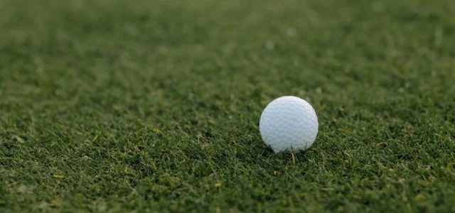 White golf ball resting on the grass
