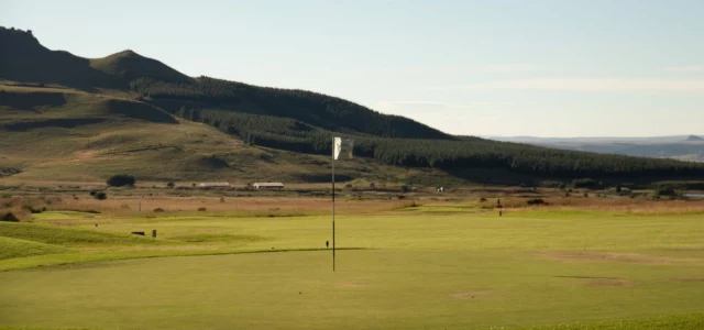 Course burnt dry by the summer heat
