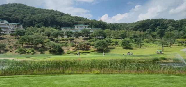 Golfplatz am Fuss eines bewaldeten Hangs