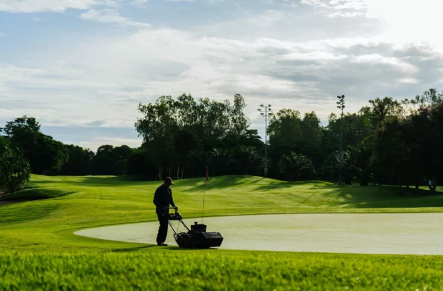 Greenkeeper mowing a green