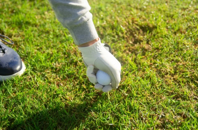 Gloved hand replacing a ball on the green