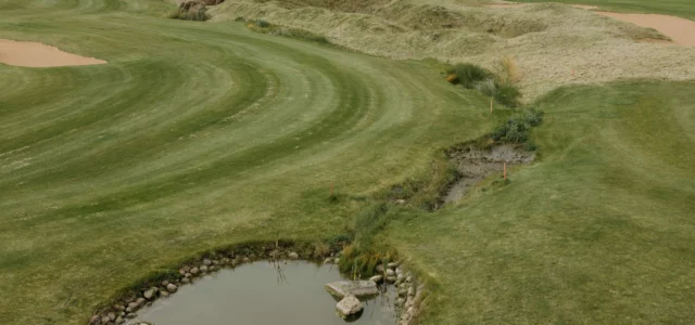 Teich und hohes Gras am Fairwayrand