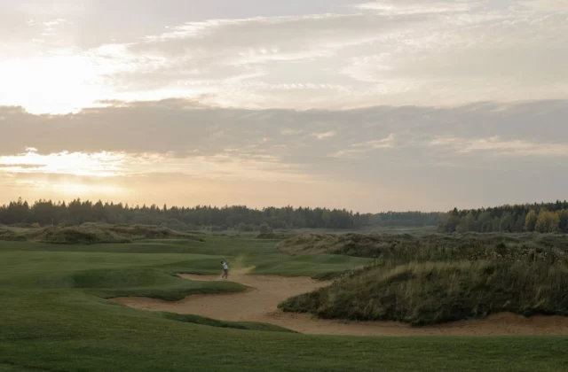 Seaside links and dunes at dusk