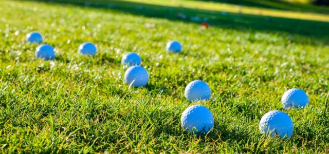 A dozen white golf balls scattered on the grass of a practice ground in the sun
