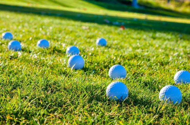 Ein Dutzend weisse Golfbälle verstreut im Gras einer Driving Range in der Sonne